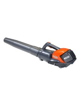 Soffiatore BVI 60